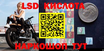 эйфоретик Малгобек