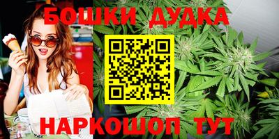 дживик Можга