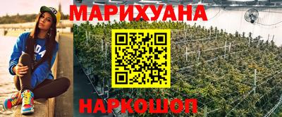 эйфоретик Малгобек