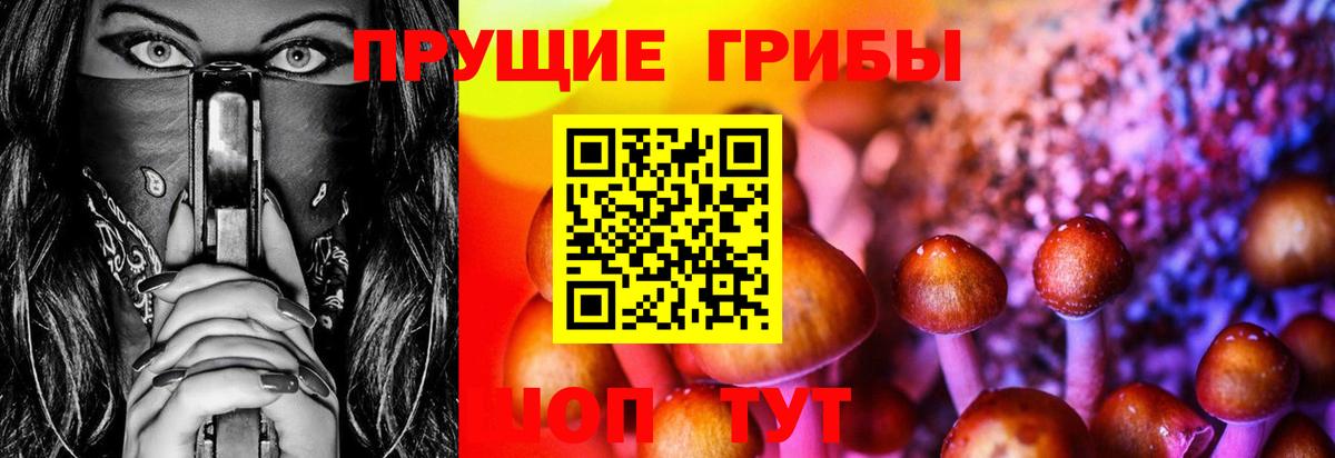 Псилоцибиновые грибы ЛСД  купить закладку  Фрязино  Вход с VPN  Псилоцибиновые грибы Psilocybine cubensis 