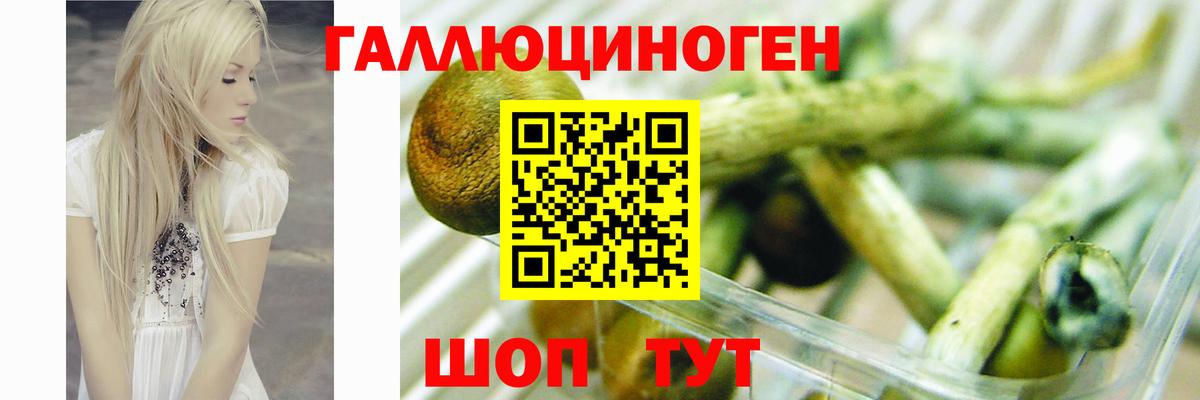 Галлюциногенные грибы мухоморы Фрязино